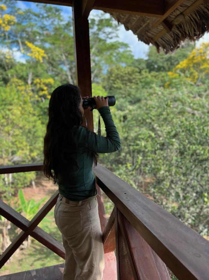 Hacienda Herrera Tambopata Lodge Puerto Maldonado